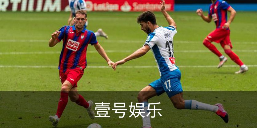 企业介绍
