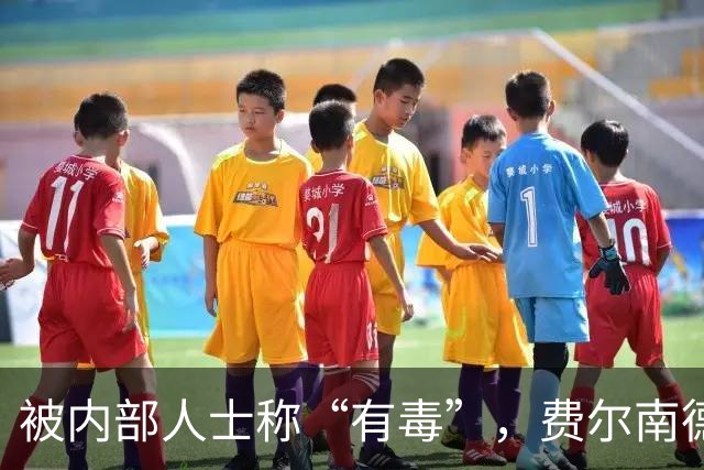 被内部人士称“有毒”，费尔南德斯公开质疑卡里克战术